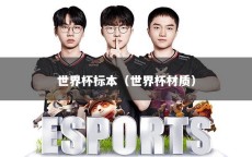 世界杯标本（世界杯材质）