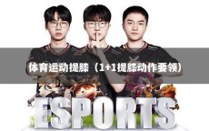 体育运动提膝（1+1提膝动作要领）
