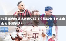 拉莫斯为何落选西班牙队（拉莫斯为什么退出西班牙国家队）