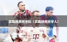 武磊回西班牙队（武磊回西班牙人）