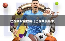 巴西队粉丝数量（巴西队员名单）
