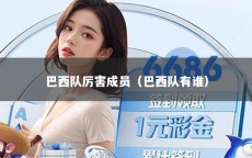 巴西队厉害成员（巴西队有谁）