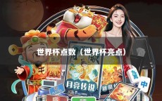 世界杯点数（世界杯亮点）