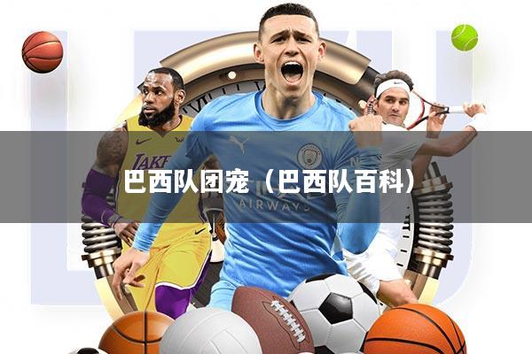 巴西队团宠(巴西队百科)